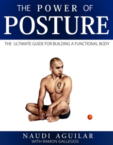 The Power of Posture E-Book von Functional Pattern